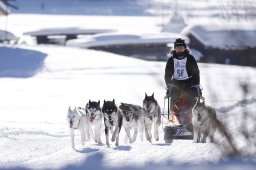 Lenk 2013